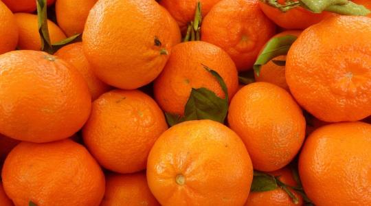 Parkolóból feketepiac – razzia a nagybani mellett