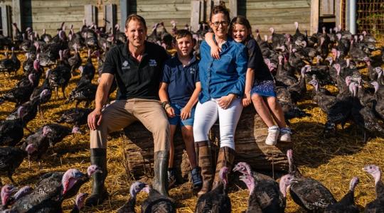 Ezen a farmon már nyáron elkezdődik a karácsonyi szezon