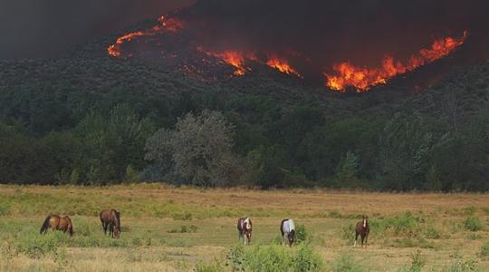 A terv, amire szükség van, de senki se szeretné megvalósítani