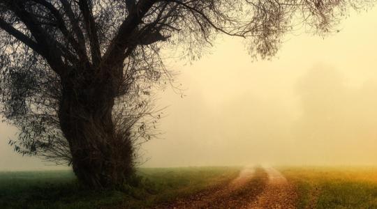 Időjárás: Nem mindenki ússza meg az esti égi áldást +VIDEÓ