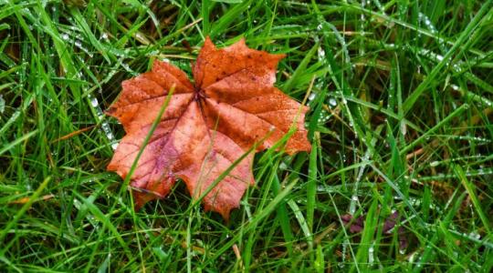 Adél megkeveri az időjárást: keleten ázni, nyugaton derülni fogunk +VIDEÓ