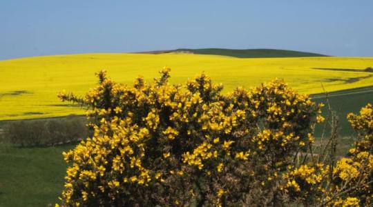Szerinted a gazdákat mi motiválja a természet védelmére?