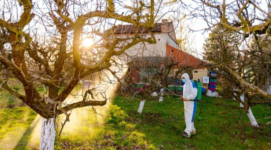Lemosó permetezés decemberben – mivel lehet még biztonságos?