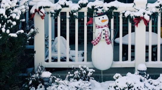 Fagy előtt 48 órával: a kertész gyors ellenőrzőlistája