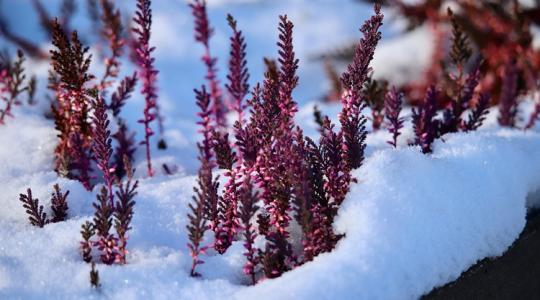 Mit NE csinálj, ha hirtelen leesik a hó?