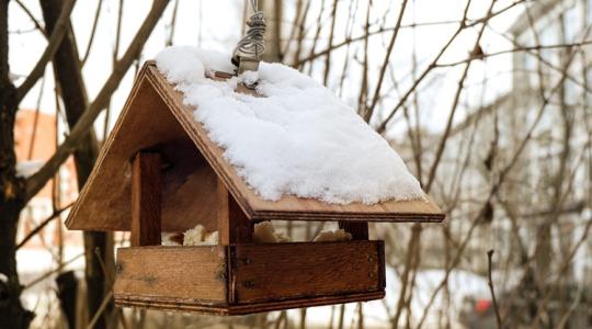 5 elfelejtett teendő, ami a legtöbb kárt okozza télen