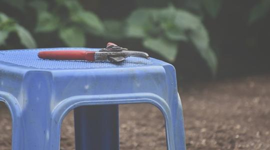 Mi az, amit decemberben már TILOS visszavágni?