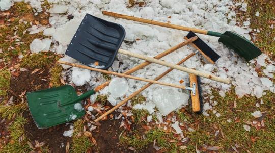 Ezeket ne hagyd a kertben télre – kártevőmágnes mind