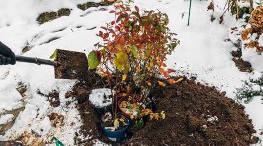 A kert 5 legjobb hőtartó anyaga – profi magyarázattal