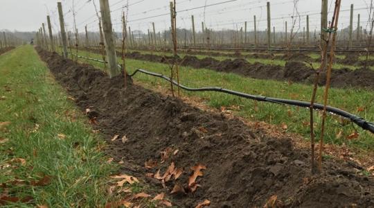 Mini dombok és takarások – a profik módszere