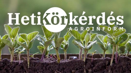 Előszezoni ajánlatok szójára – Heti Körkérdés