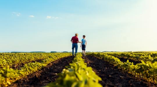 Így kerüld el a jogi hibákat, ha kiskorú is érintett a gazdaságban