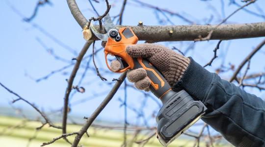 Kerti gépek teleltetése – hogyan védd az akkumulátort?