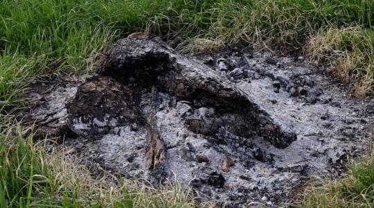 Hamu használata télen a kertben – hova TILOS szórni?