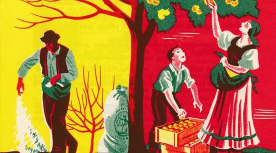 Ilyent se látsz minden nap: nézegess régi pétisó-reklámokat!