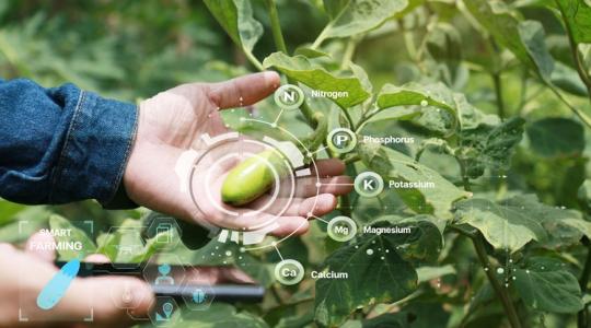 Nem elég tudni, mi az intelligens növénytermesztés – használni is kell