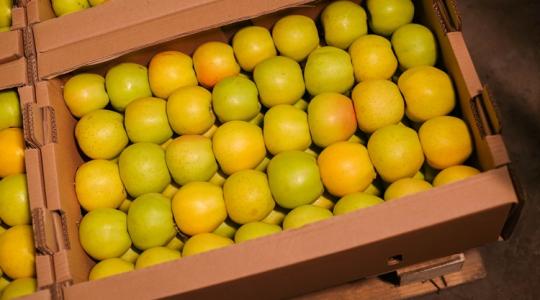 Kényes kérdés: mibe csomagolod a gyümölcsöt?