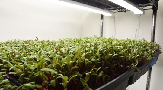 A jövő mezőgazdasága testközelből: ezt minden gazdának látnia kell