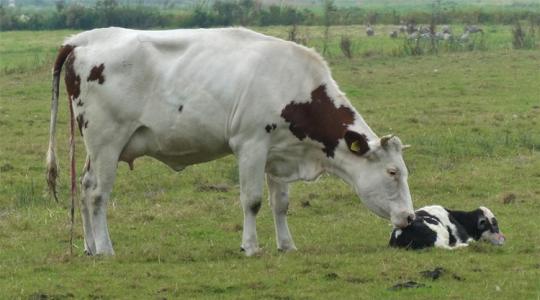A téli ellési szezon 5 buktatója
