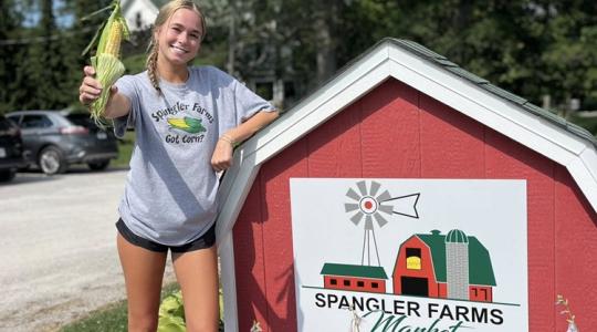 Kukoricás szekérből közösségi farm: mi kell a sikerhez?