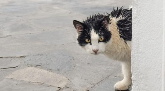 Időjárás: Hajnalra bekúszik fölénk a front – ezt hozza magával +VIDEÓ