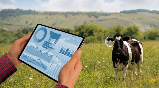 Folytatódik a MATE tudásmegosztó sorozata: fókuszban a precíziós állattenyésztés