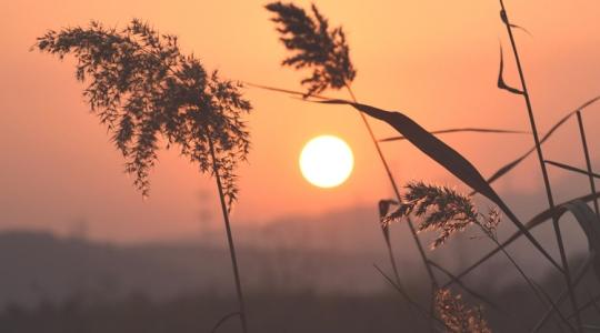 Elmaradt az őszi napsütés: ezt mérték a meteorológusok