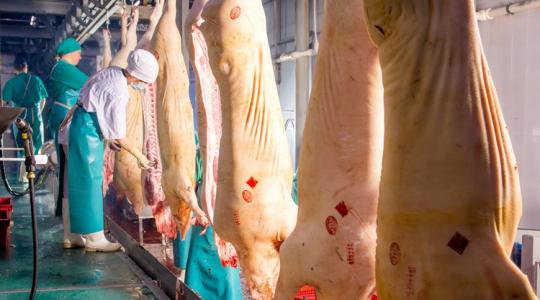 Top 5-ben az oroszok?