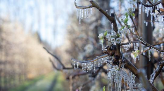 Lényeges változások a KAP pályázati menetrendben – ezekre készülj 2026-ban!