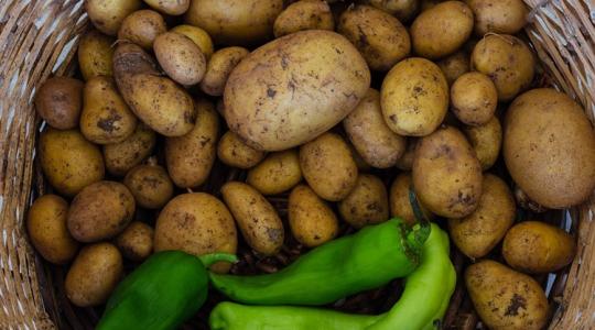 Beavatkozást sürgetnek: válságos helyzetben a nyugat-európai zöldségtermesztők