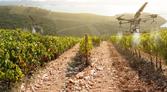 Glifozát, be nem jelentett permetezések: bírság járt értük