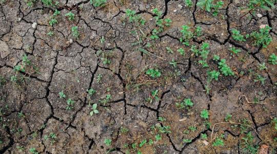 Kritikus állapotban a Föld rendszerei – a klímamodellek legrosszabb forgatókönyvei valósulnak meg