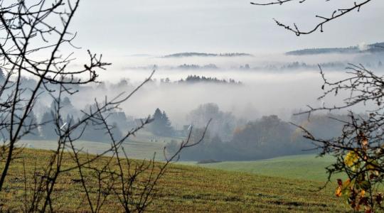 A köd árnyékában: hogyan hat a borongós idő a kalászosokra?