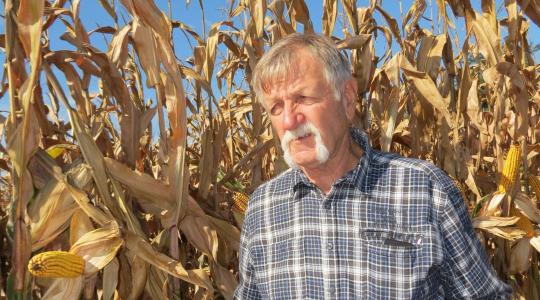 Hogyan formálja át a Kukorica Termésverseny a hazai gazdálkodást?