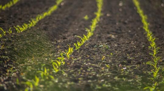 700 millió dolláros lökést kap a regeneratív mezőgazdaság Amerikában