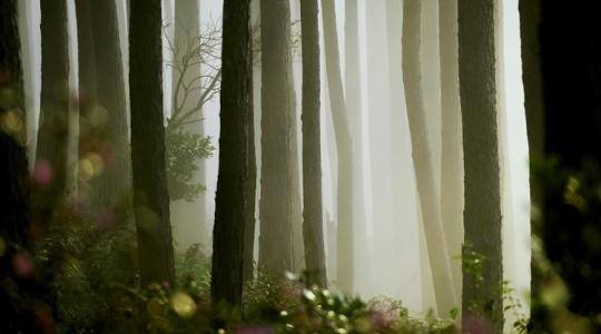 Mindenki ezt a hétvégi időjárás-jelentést várta!