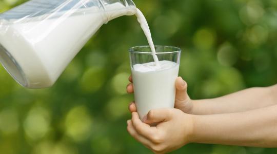 Bővül az iskolatej-program – év közben is csatlakozhatnak az intézmények