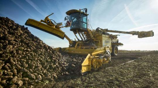 Ukrajna, Mercosur, cukorpiaci nyomás: meddig bírják az európai cukorrépa-termelők?