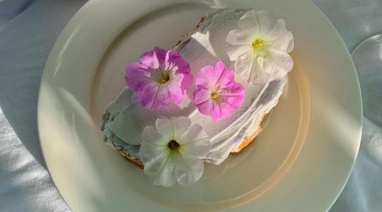 Az ehető virágok árnyoldala: mit rejtenek a tányérra kerülő szirmok?