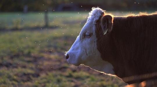 Figyeld a bankszámlád: újabb támogatás érkezik 