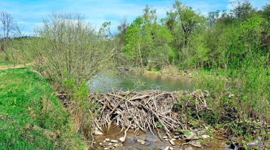 Termőföldek víz alatt  – döbbenet, mi áll a háttérben