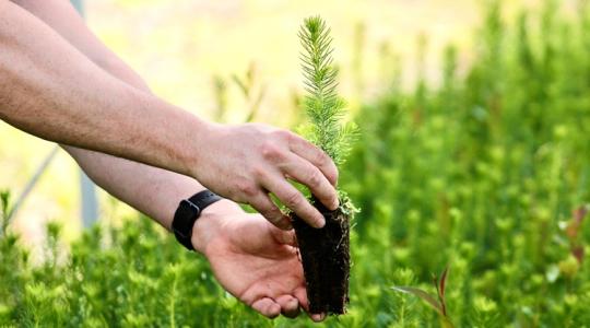 Ez lesz az egyik legfontosabb vagyon hamarosan