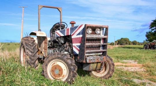 Vérre megy: szörnyű dilemmák gyötrik a brit gazdákat