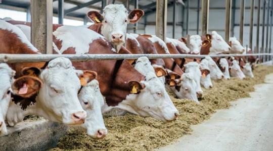 Megtérülő fejlesztések az állattartásban – PREGA 2026