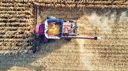 Gazdaságátadási szerződések: aktuális kérdések és gyakorlati tanácsok az agrárjogásztól