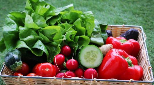 Nem elég a kínálat: az ökopiac keresleti oldalát is erősíteni kell