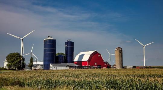 Gazdasági nyomás alatt: Trump új segélycsomaggal támogatja az amerikai gazdákat