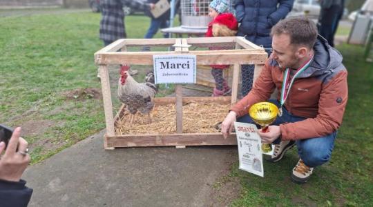 Zala vármegye legszebb kakasa lett Marci Kerkabarabáson