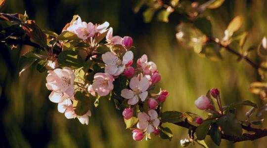 Vissza a gyökerekhez