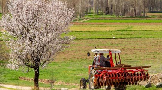 Járványvédelem, támogatások, földvagyon: több ponton módosul az agrárszabályozás